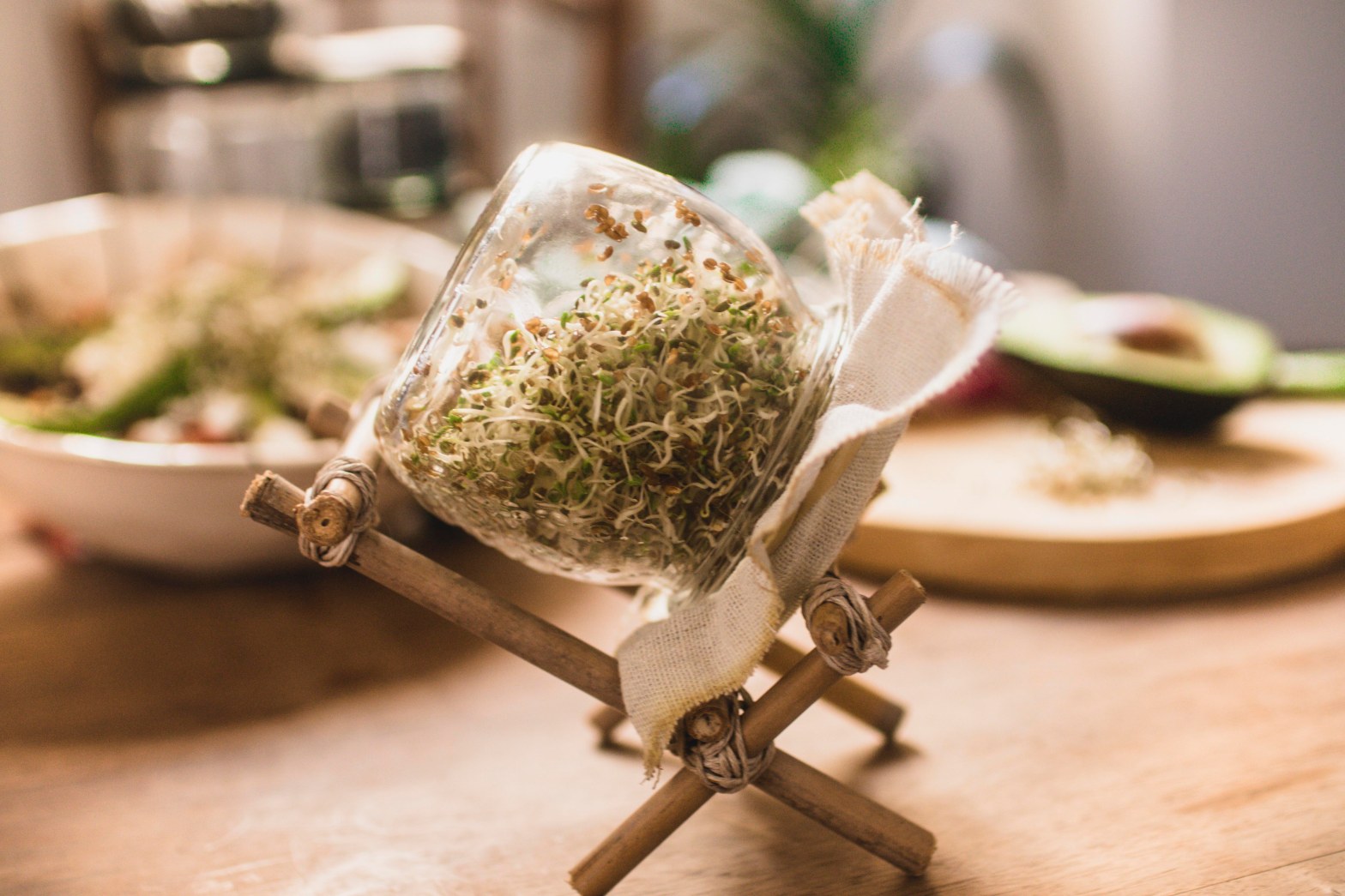 DIY germoir à graines et son socle maison – Wherebeesare